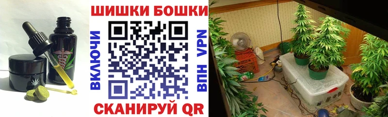 Купить закладки  Елизово  Еда ТГК конопля 