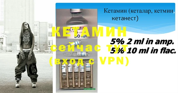 гидра Новозыбков