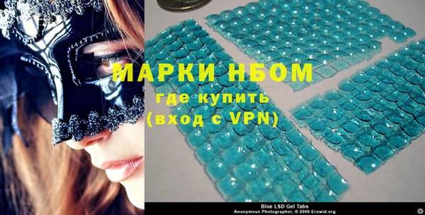 гидра Новозыбков