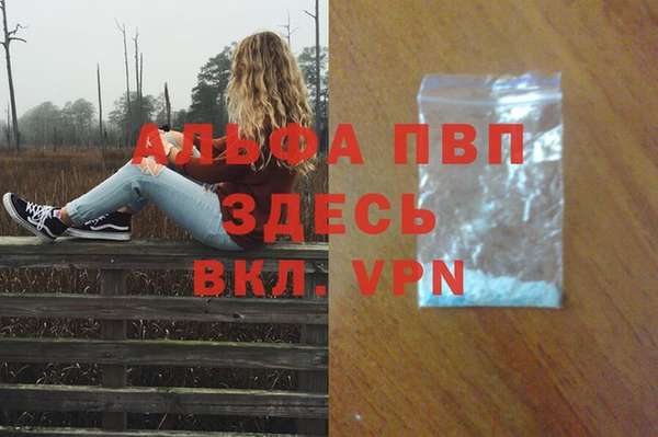 стафф Новодвинск