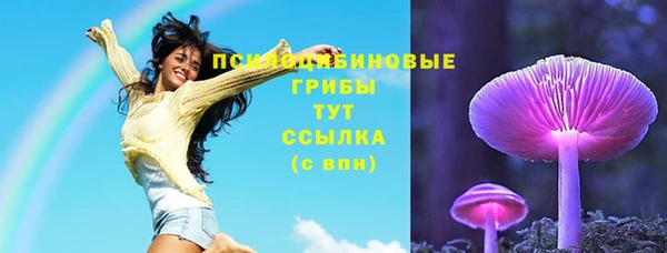 стафф Новодвинск