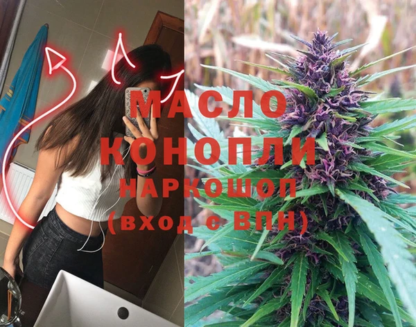 гидра Новозыбков