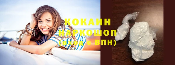 стафф Новодвинск