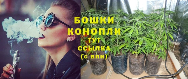гидра Новозыбков