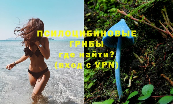 стафф Новодвинск