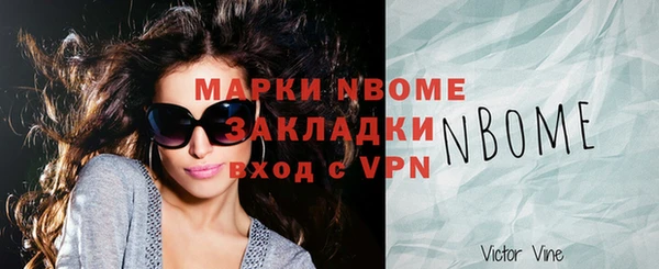 гидра Новозыбков