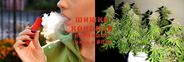 стафф Новодвинск