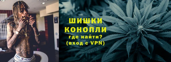 стафф Новодвинск