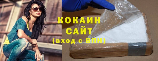 гидра Новозыбков